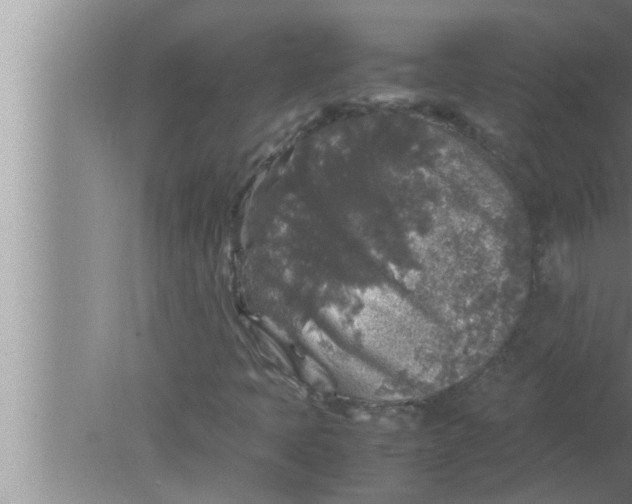 X0000080161397200612302141