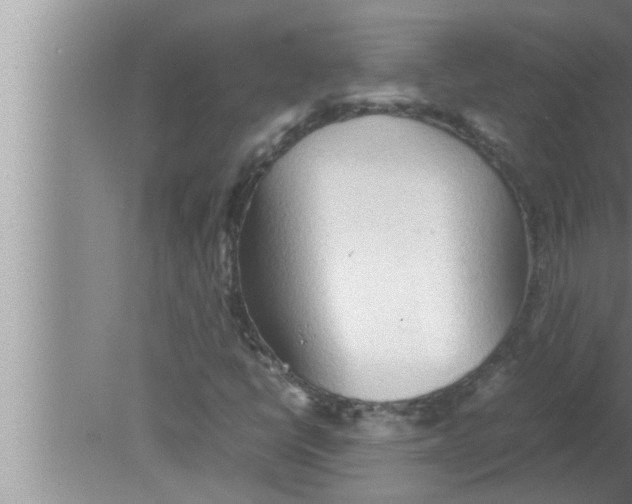 X0000080161398200612302141