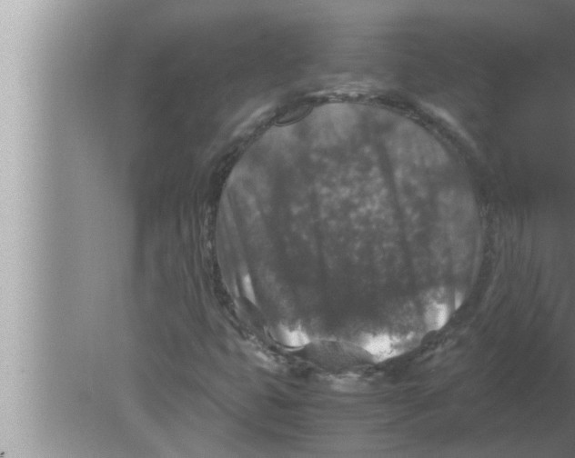 X0000080161399200612302141