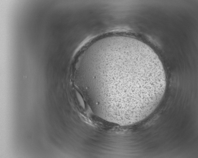 X0000080161400200612302141