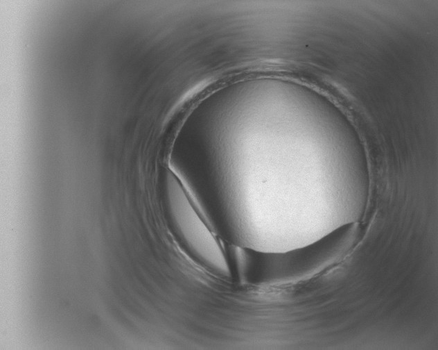 X0000080161402200612302141