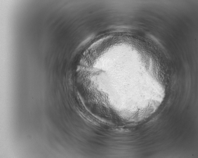 X0000080161403200612302141