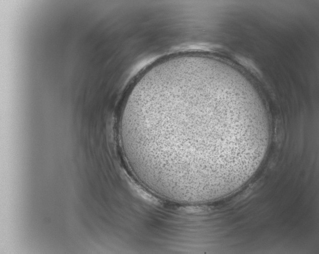 X0000080161404200612302141