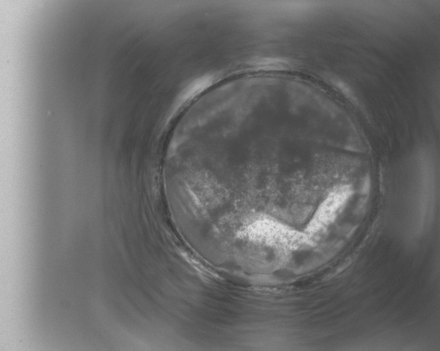 X0000080161405200612302141