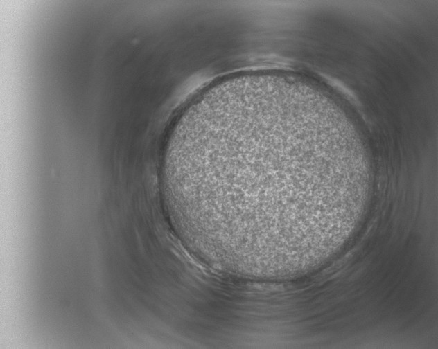 X0000080161407200612302141