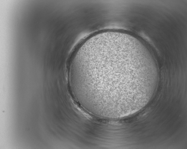 X0000080161408200612302141