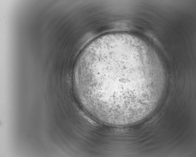 X0000080161409200612302141