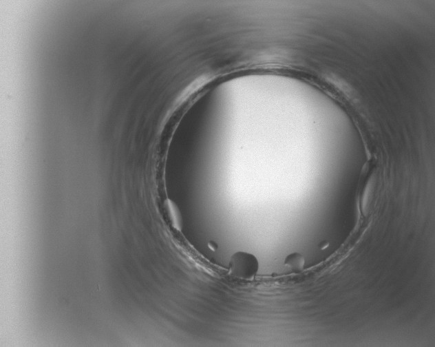 X0000080161410200612302141