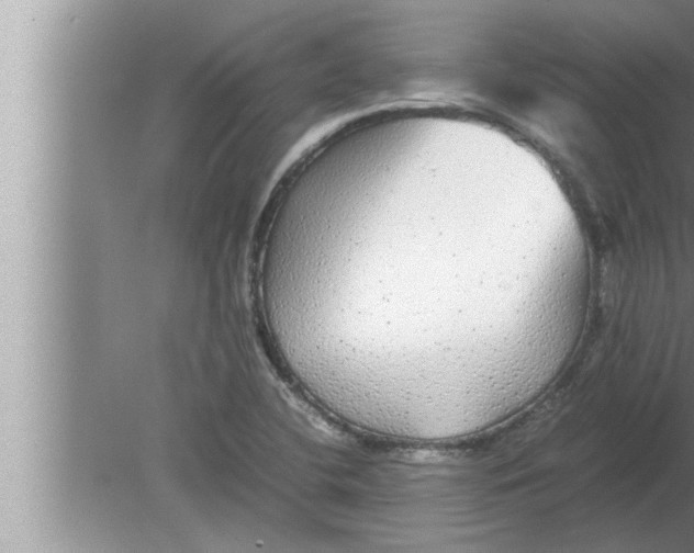 X0000080161412200612302141