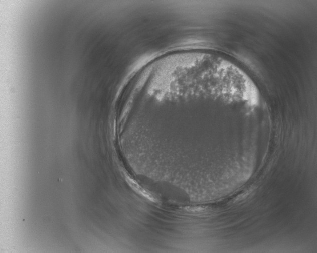 X0000080161413200612302141