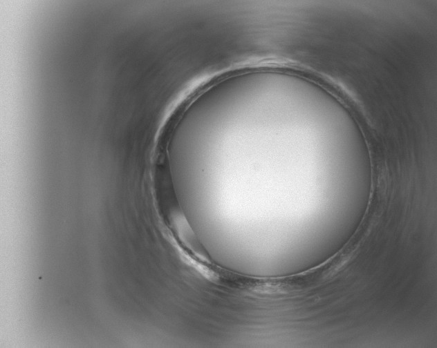 X0000080161414200612302142