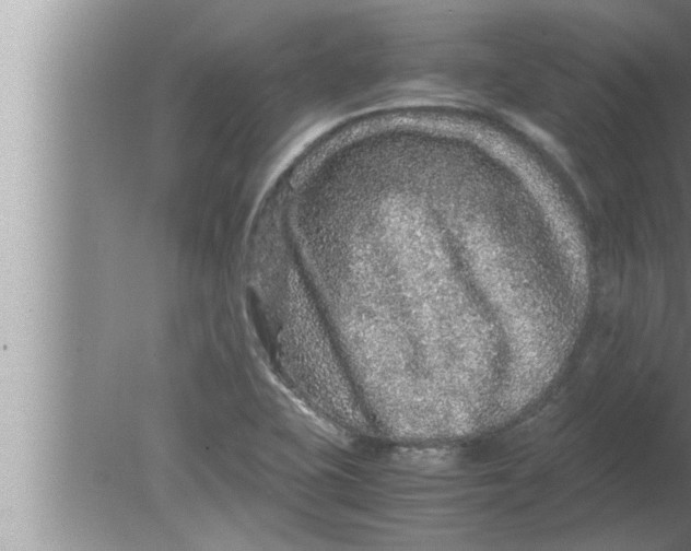 X0000080161415200612302142