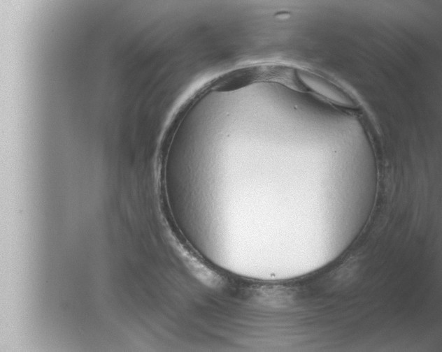 X0000080161416200612302142