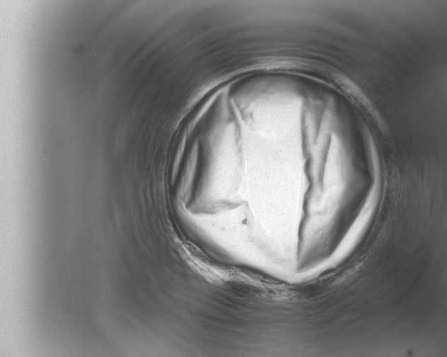 X0000080161417200612302142