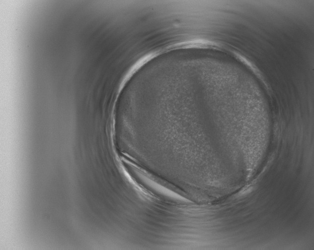 X0000080161418200612302142