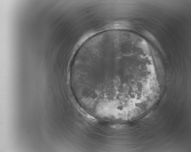 X0000080161419200612302142