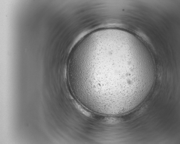 X0000080161420200612302142