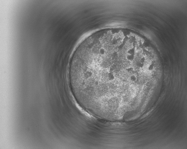 X0000080161421200612302142