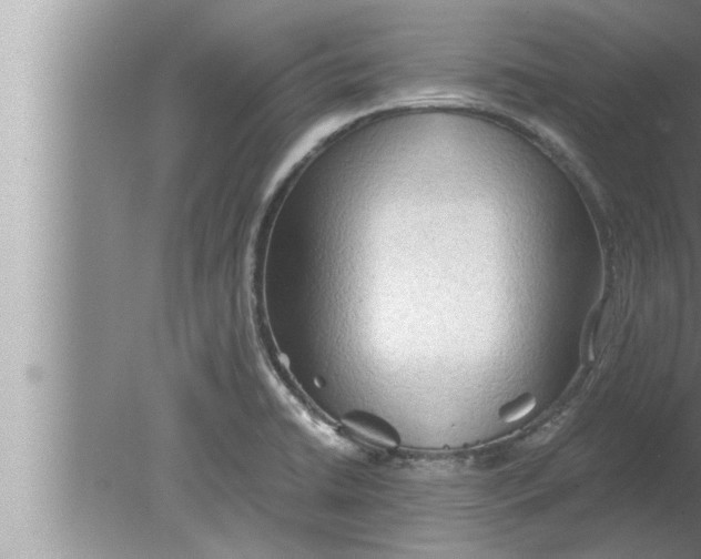 X0000080161422200612302142