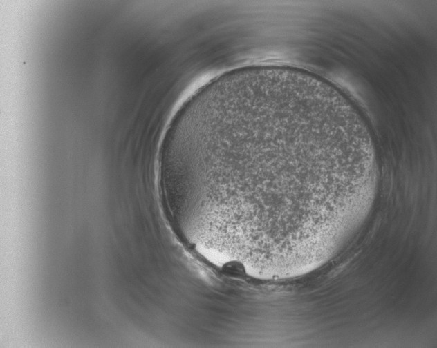 X0000080161424200612302142