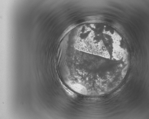 X0000080161425200612302142