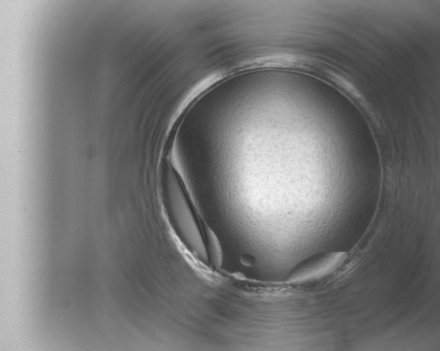 X0000080161426200612302142