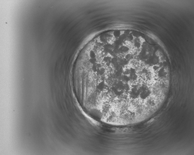 X0000080161429200612302142