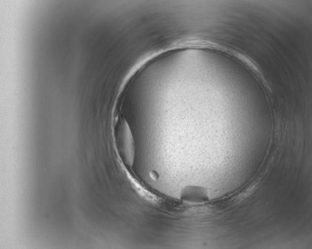 X0000080161430200612302142