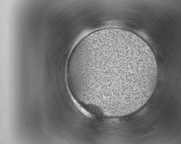 X0000080161431200612302142