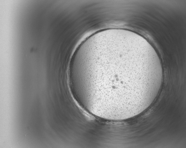 X0000080161432200612302142