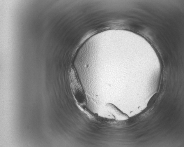 X0000080161433200612302142