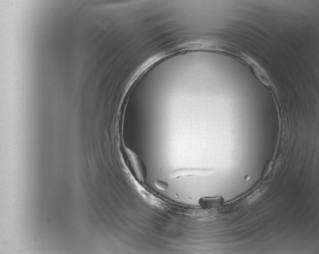 X0000080161434200612302142