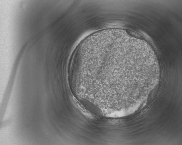 X0000080161435200612302142