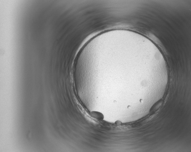 X0000080161436200612302142