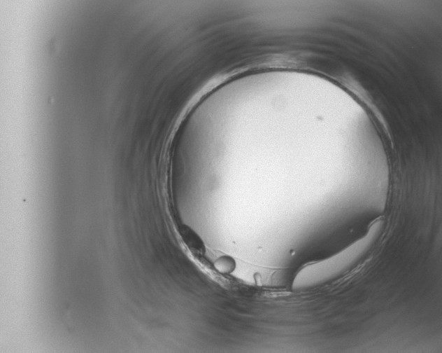 X0000080161437200612302142