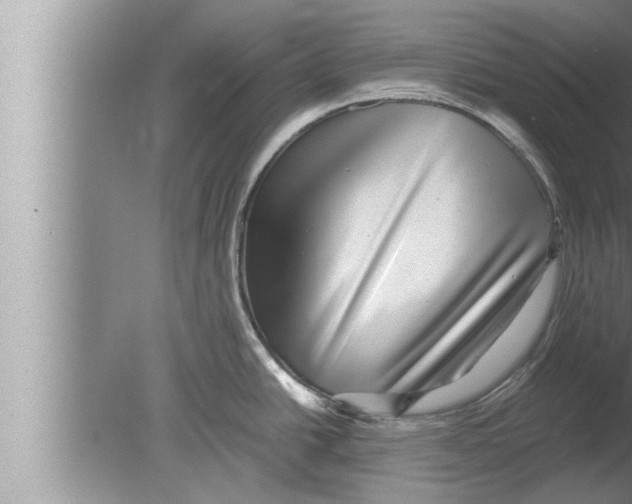 X0000080161438200612302142