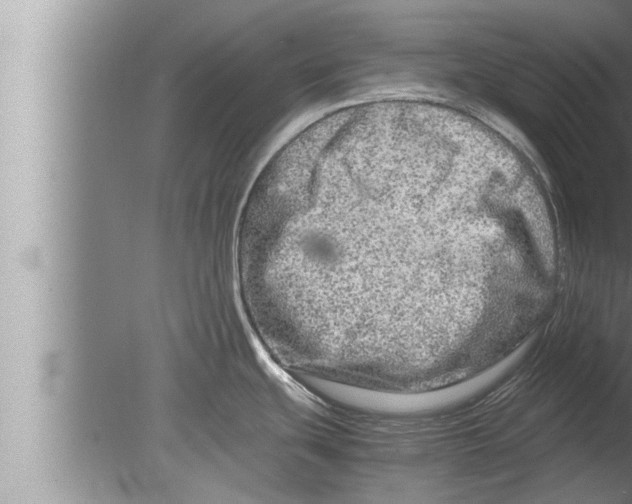 X0000080161439200612302142