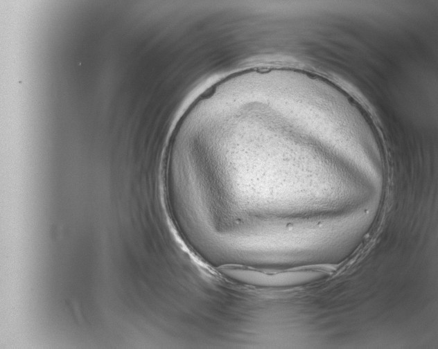 X0000080161440200612302142