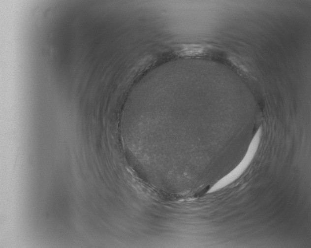 X0000080161441200612302141