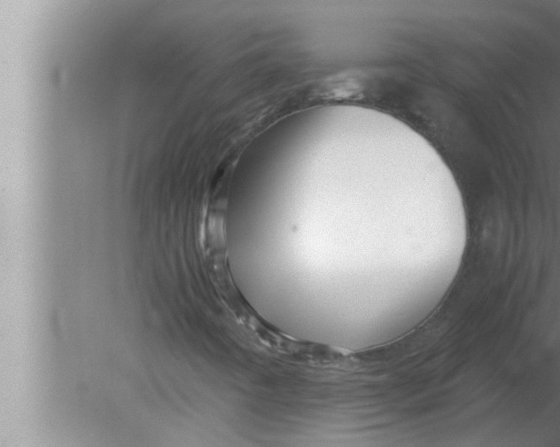 X0000080161442200612302141