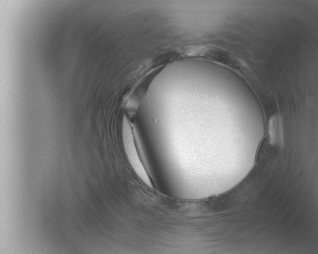 X0000080161443200612302141