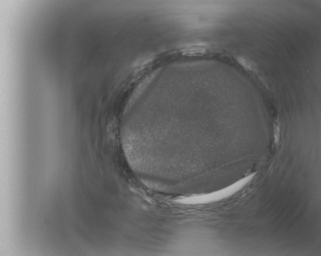 X0000080161445200612302141