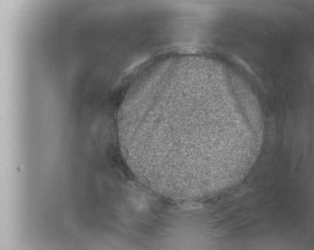 X0000080161446200612302141