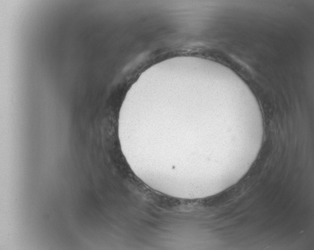 X0000080161447200612302141