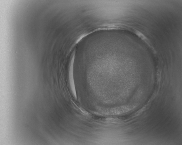 X0000080161449200612302141