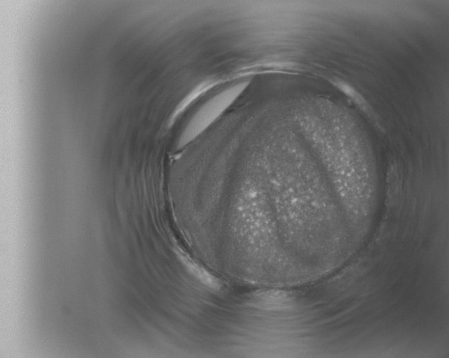 X0000080161450200612302141