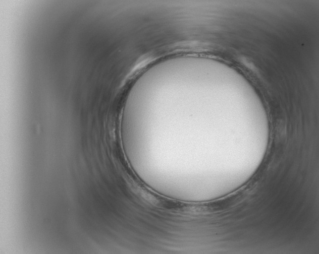 X0000080161451200612302141