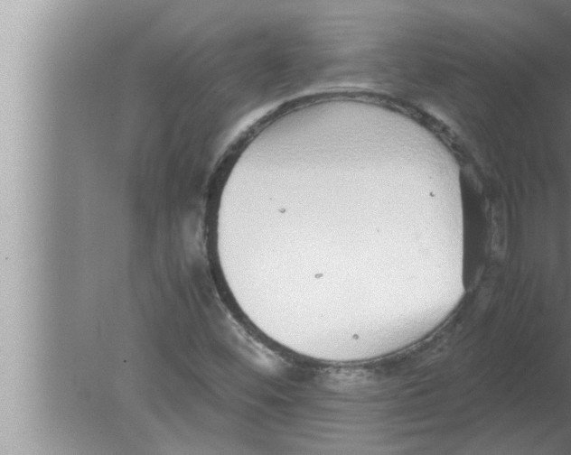 X0000080161452200612302141