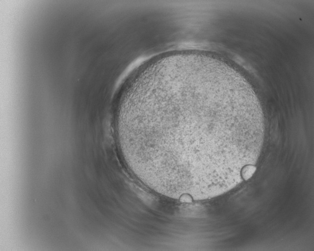 X0000080161454200612302141