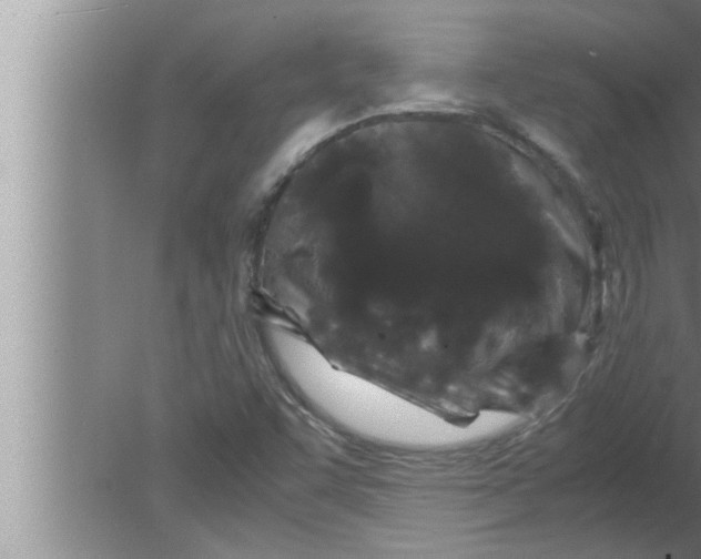 X0000080161455200612302141